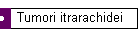 Tumori itrarachidei